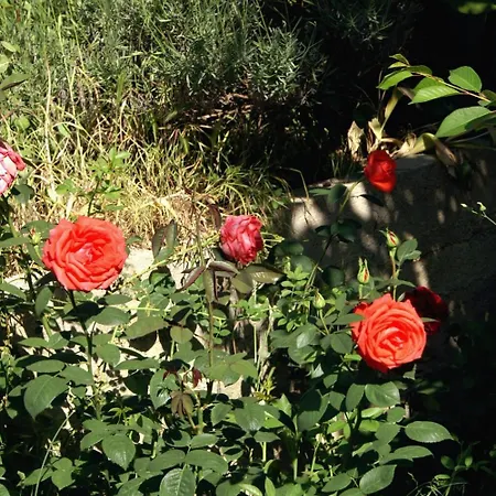 דירה Family Friendly Seaside Vlasici, Pag - 4319