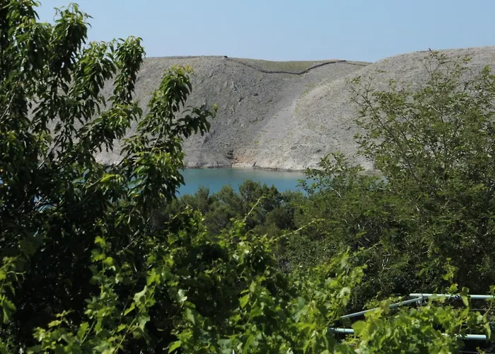 Family Friendly Seaside Vlasici, Pag - 4319 דירה *