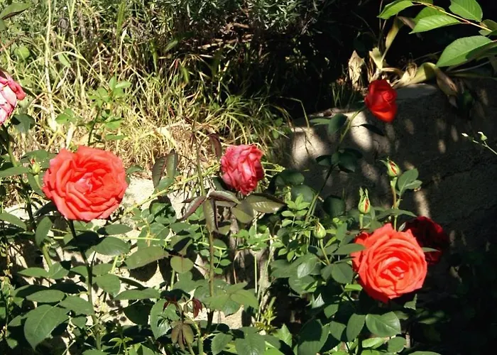 דירה Family Friendly Seaside Vlasici, Pag - 4319